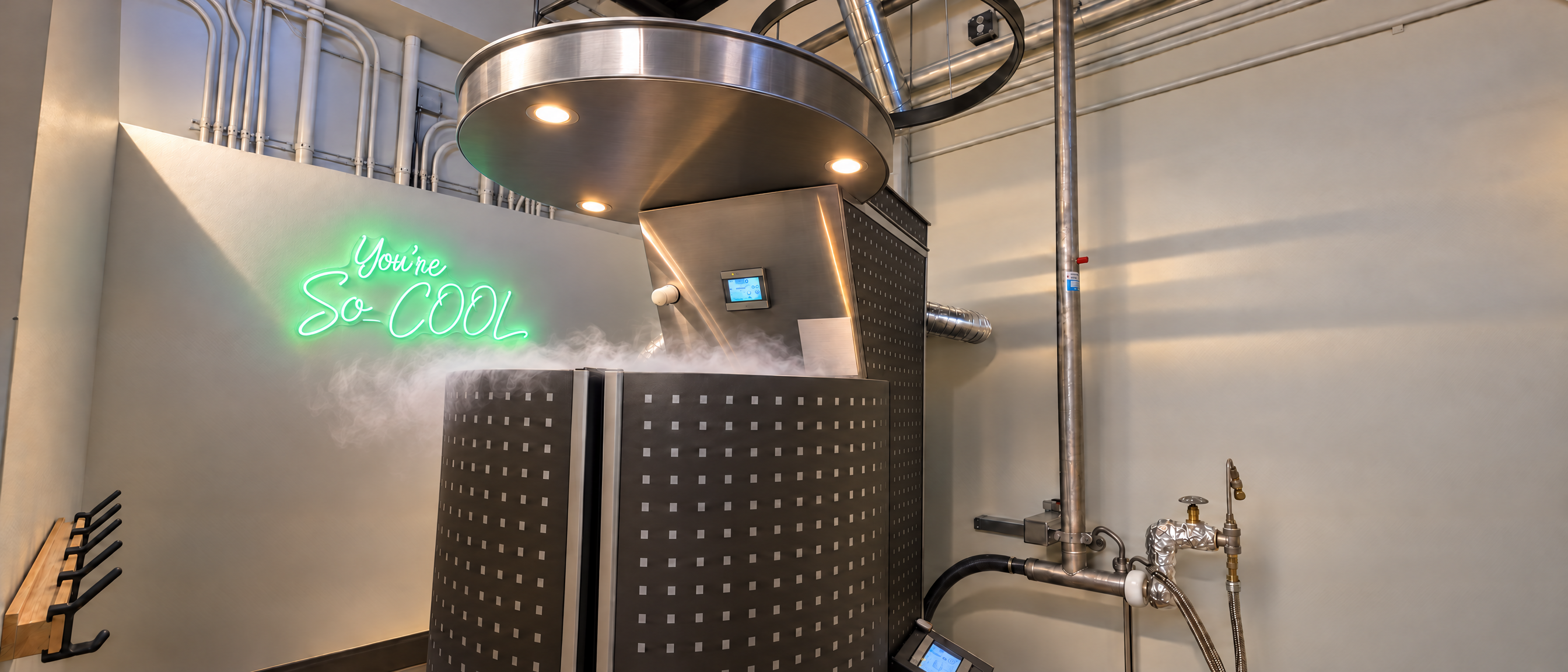 Whole Body Cryotherapy at Body Techs Minnetonka